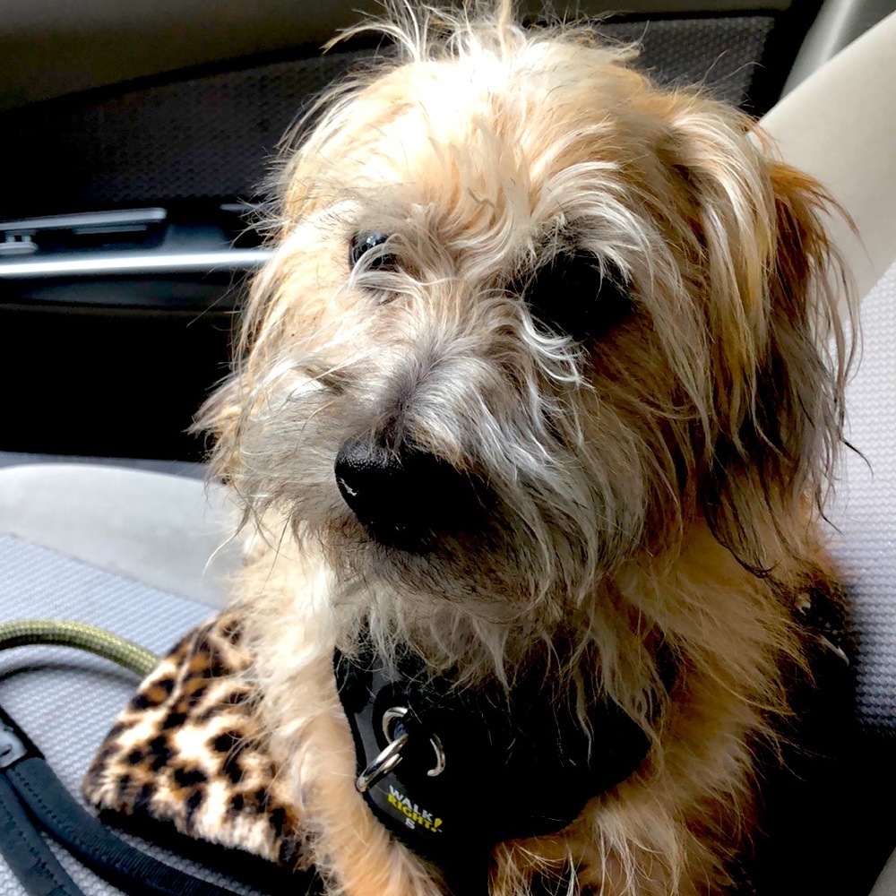 Meet your Posher, Tiffany